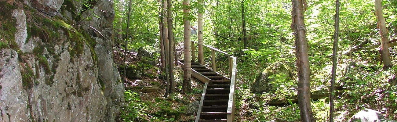 Freeimages.com367801 4811 stairs 02